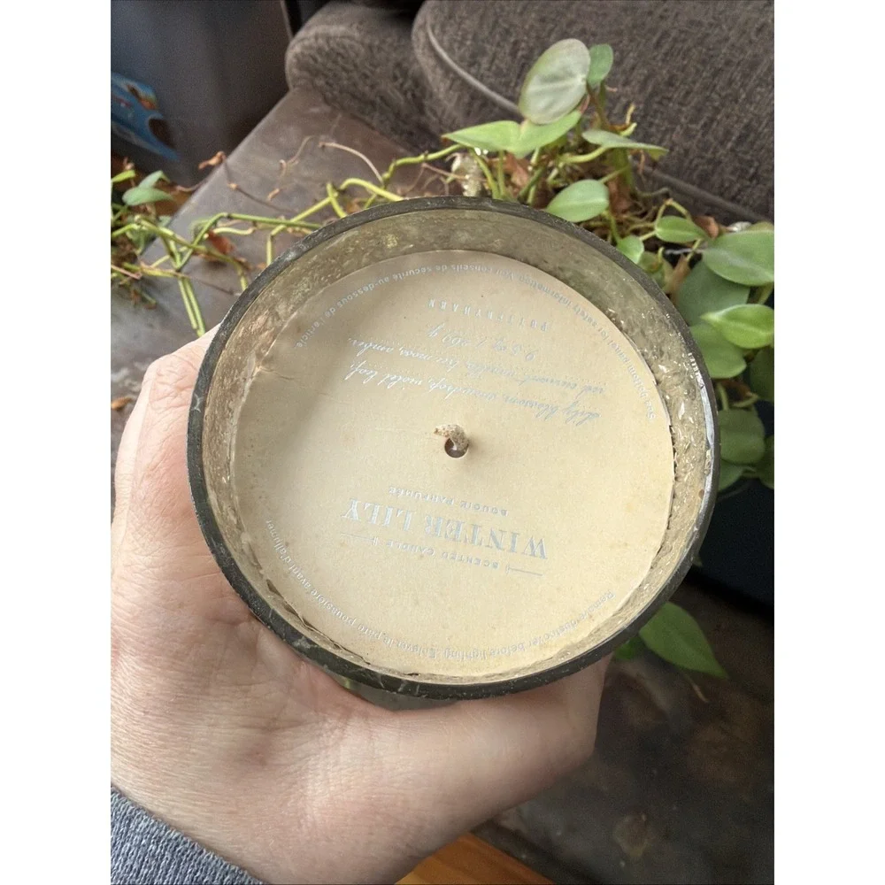 NEW Pottery Barn Winter Lily 9 Oz. Decorative Scented Candle Brand New Bougie